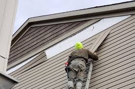 Best Siding Painting and Refinishing  in Norco, CA